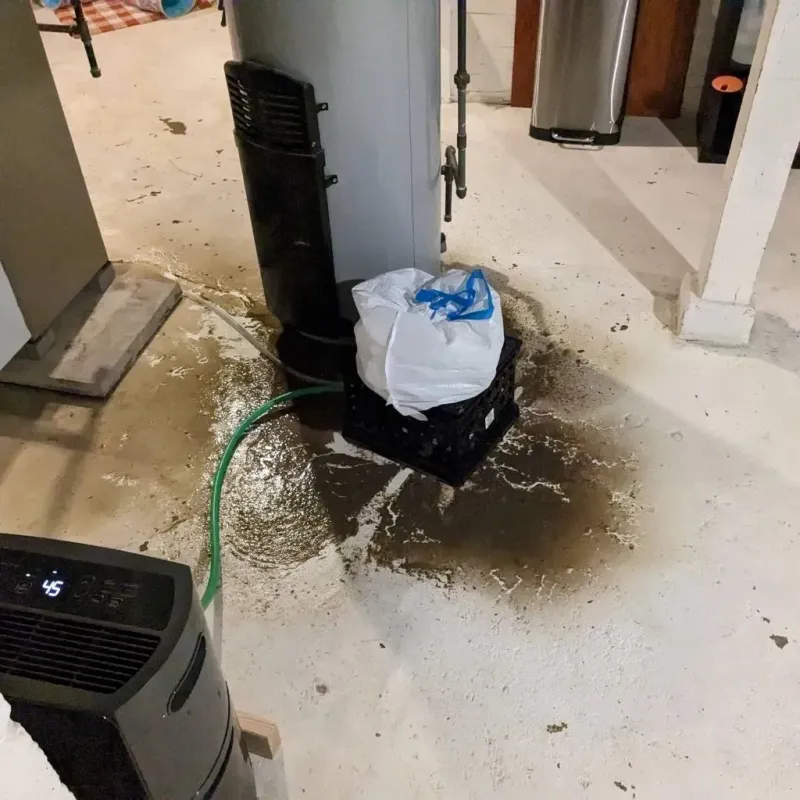 Sewage Backup Cleanup Service in Cherokee County, GA